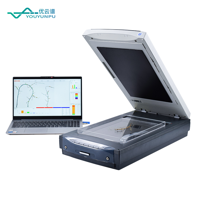 植物根系分析仪：高效检测技术解析与应用指南