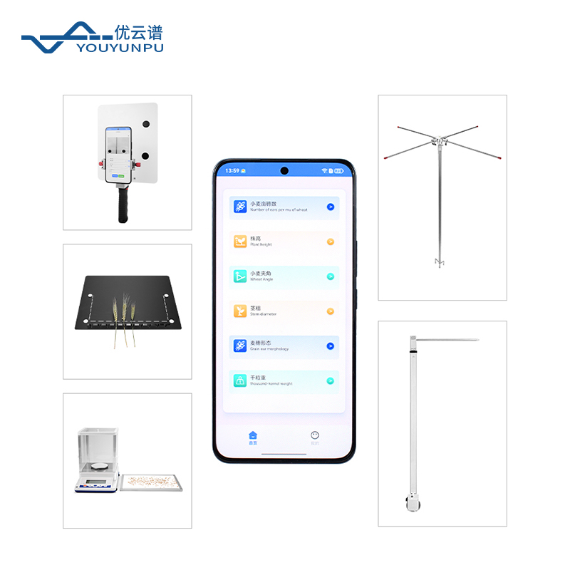 小麦亩穗数测量仪：精准掌握产量关键指标